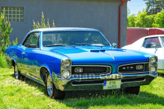 128-A0055669-©-Jan-Stojan-©