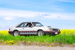 131-A0056022-©-Jan-Stojan-©