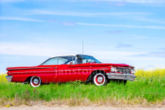 147-A0055935-©-Jan-Stojan-©