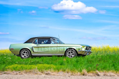 149-A0055918-©-Jan-Stojan-©