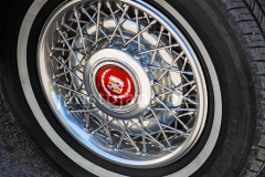 161-A0055532-©-Jan-Stojan-©