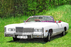 164-A0055678-©-Jan-Stojan-©