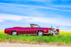 165-A0056051-©-Jan-Stojan-©