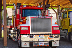 173-A0055545-©-Jan-Stojan-©