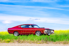 178-A0056047-©-Jan-Stojan-©