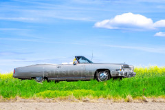 183-A0056028-©-Jan-Stojan-©