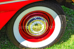 185-A0055818-©-Jan-Stojan-©