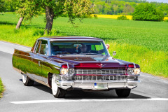 190-A0055878-©-Jan-Stojan-©