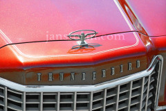 192-A0055745-©-Jan-Stojan-©