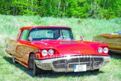 199-A0055684-©-Jan-Stojan-©