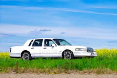 200-A0056011-©-Jan-Stojan-©