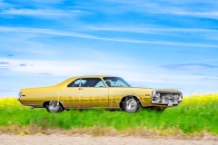 201-A0056089-©-Jan-Stojan-©