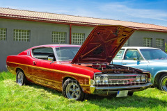 202-A0055657-©-Jan-Stojan-©