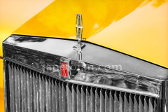 204-A0055743-©-Jan-Stojan-©