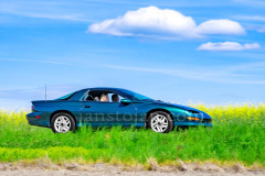 207-A0056018-©-Jan-Stojan-©