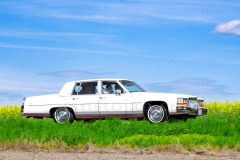 209-A0056036-©-Jan-Stojan-©