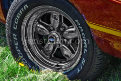 212-A0055748-©-Jan-Stojan-©