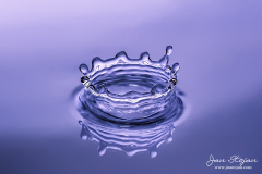 003-Jan-Stojan-©-100-IMGP9813