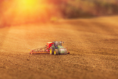 003-imgp3476-©-Jan-Stojan-©