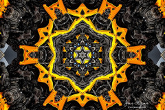 010-Jan-Stojan-©-103-IMGP9116-Bumblebee