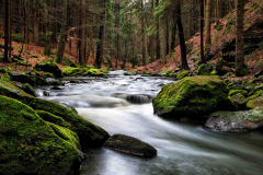 016-Jan-Stojan-©-600-Doubravka-2016