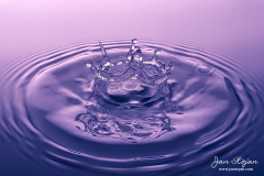 019-Jan-Stojan-©-100-IMGP9953-x