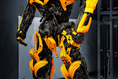 020-Jan-Stojan-©-150-IMGP9116-Bumblebee