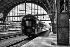 027-Jan-Stojan-©-870-IMGP2691-novy