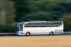 028-jan-stojan-209-imgp9970