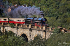 072-Jan-Stojan-©-240-IMGP7733