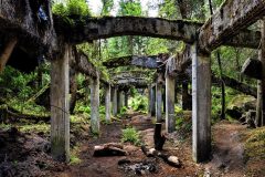 07-jan-stojan-480-sauersack-byvaly-cinovy-dul-a0000926