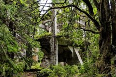 jan-stojan-480-sauersack-byvaly-cinovy-dul-a0000607