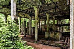 jan-stojan-480-sauersack-byvaly-cinovy-dul-a0000620