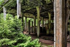 jan-stojan-480-sauersack-byvaly-cinovy-dul-a0000625