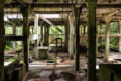 jan-stojan-480-sauersack-byvaly-cinovy-dul-a0000770