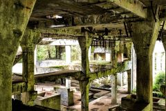 jan-stojan-480-sauersack-byvaly-cinovy-dul-a0000787