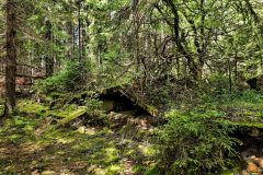 jan-stojan-480-sauersack-byvaly-cinovy-dul-a0000903