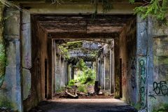 jan-stojan-480-sauersack-byvaly-cinovy-dul-a0000913