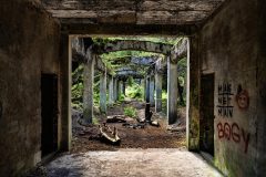 jan-stojan-480-sauersack-byvaly-cinovy-dul-a0000921