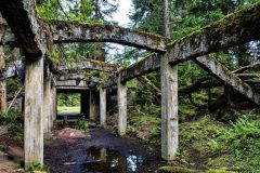 jan-stojan-480-sauersack-byvaly-cinovy-dul-a0000931