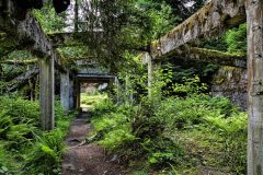 jan-stojan-480-sauersack-byvaly-cinovy-dul-a0000938