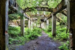 jan-stojan-480-sauersack-byvaly-cinovy-dul-a0000947