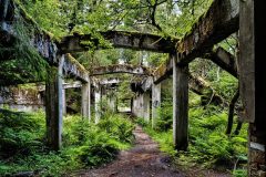 jan-stojan-480-sauersack-byvaly-cinovy-dul-a0000961