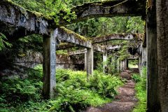 jan-stojan-480-sauersack-byvaly-cinovy-dul-a0000966