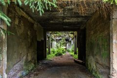 jan-stojan-480-sauersack-byvaly-cinovy-dul-a0000973