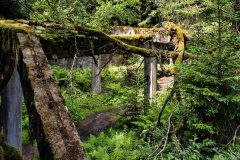 jan-stojan-480-sauersack-byvaly-cinovy-dul-a0000976