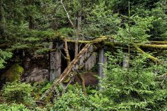 jan-stojan-480-sauersack-byvaly-cinovy-dul-a0000986