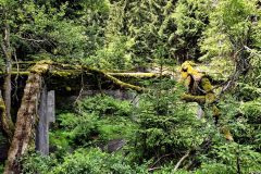 jan-stojan-480-sauersack-byvaly-cinovy-dul-a0000993