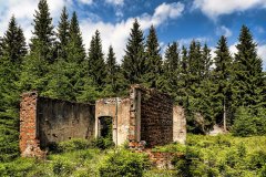 jan-stojan-480-sauersack-byvaly-cinovy-dul-a0001016