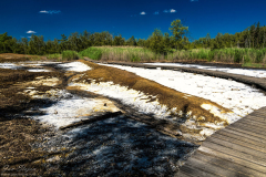 Jan-Stojan-©-600-A0001411